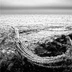 The Rope of the Mariner