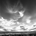 SkyScape